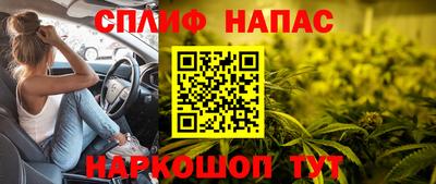 герыч Гагарин