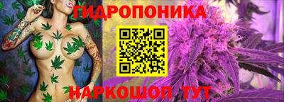 соль ск Гатчина