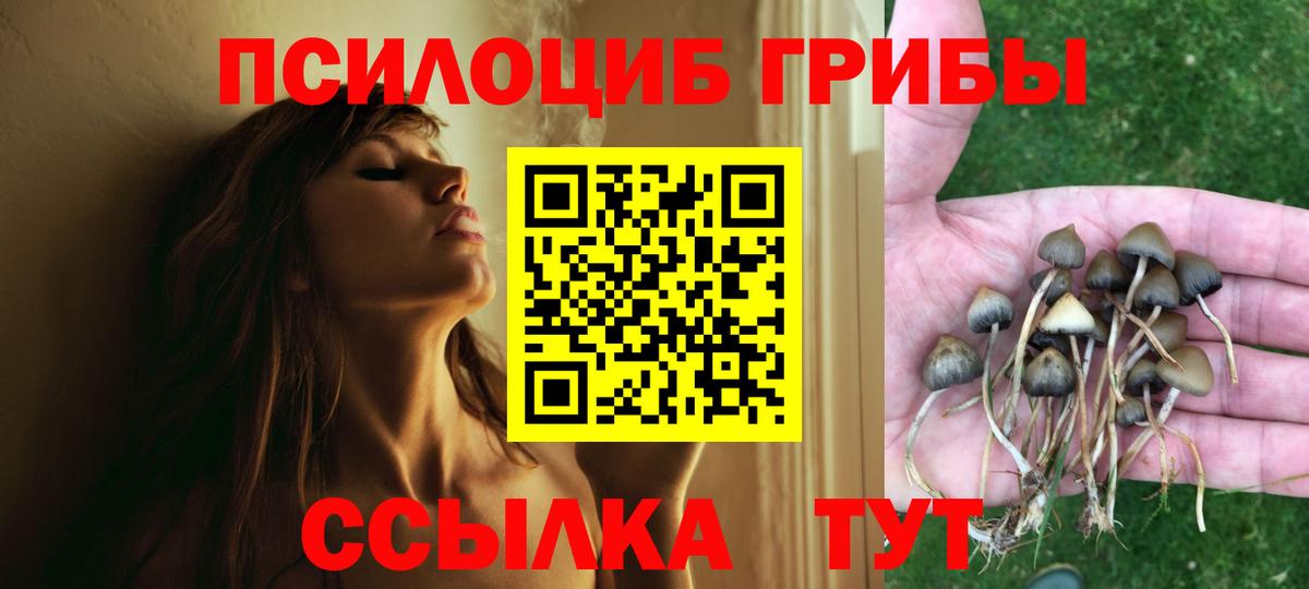 Выборг  Галлюциногенные грибы мухоморы  Вход с VPN 