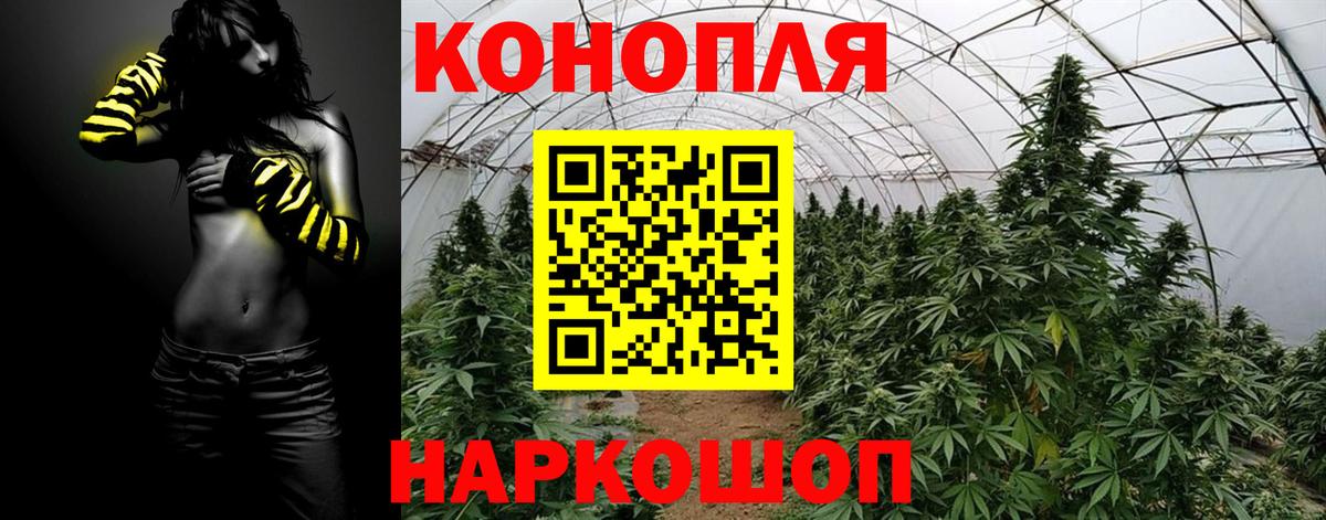 Каннабис индика Выборг